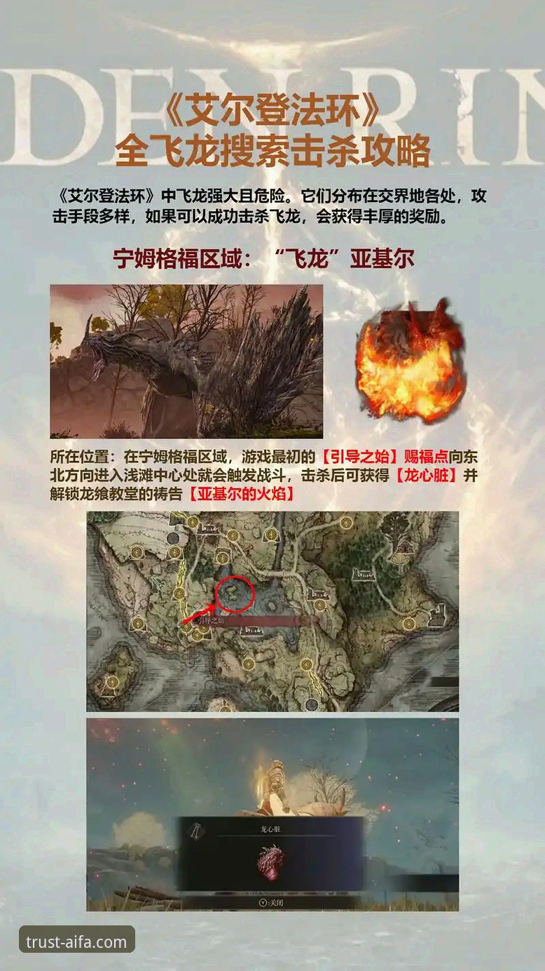 艾法新手教程评测 艾法新手教程评测:官方入口vs第三方平台,哪个更适合新手使用?