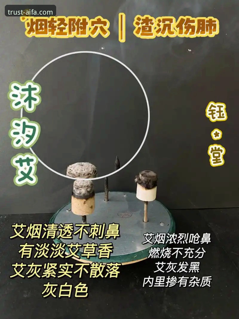 艾法新手教程安装失败 揭秘艾法新手教程安装失败背后的真相——这些隐藏问题你可能不知道
